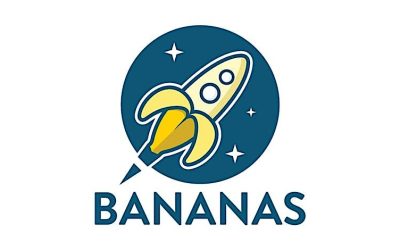 Identificando y Respondiendo al Trauma